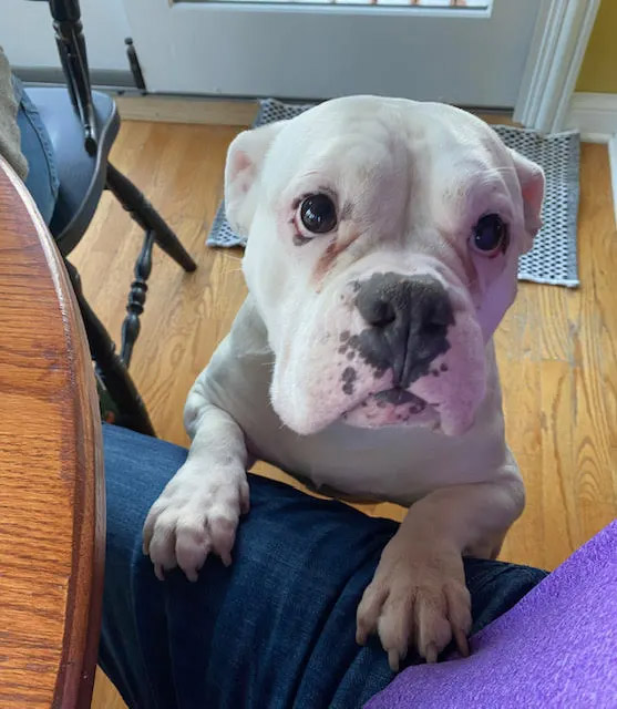 Mabel-Update Mabel-Update
